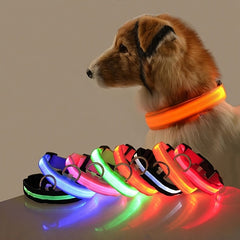 Glow-In-The-Dark Pet Collar For Dog & Cat; LED Dog Collar For Night Walking; USB charging