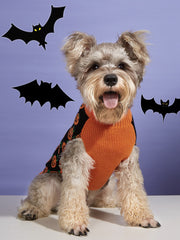 Halloween Pumpkin Dog Knitted soft Activity Costume