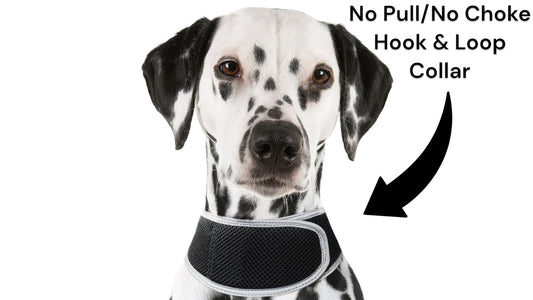 Movement Sensor Dog Collar Tracking Device Waterproof GPS Pet Locator Size:M