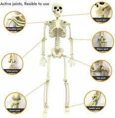 Halloween Skeletons 2 Pcs, Full Body Posable Joints Skeletons Decoration